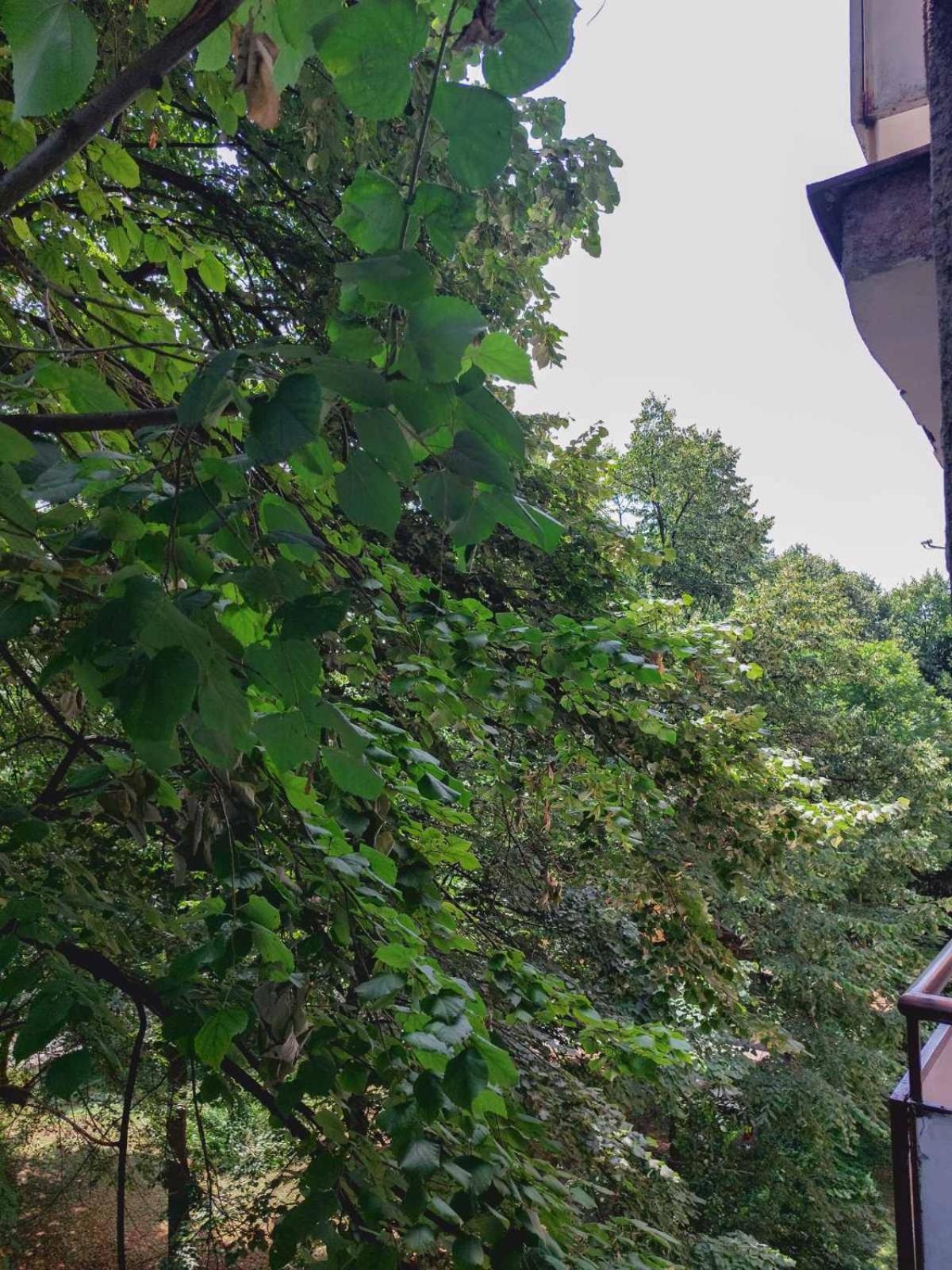 Apartman Rejna Saraievo Exterior foto