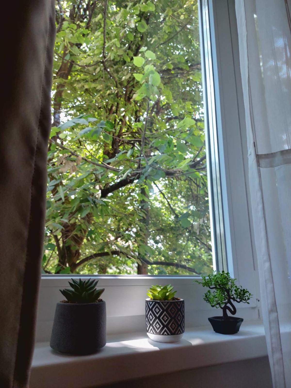 Apartman Rejna Saraievo Exterior foto